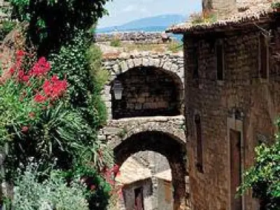 Terroir Provence-Alpes-Côte d'Azur